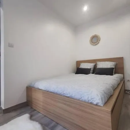 Apartment Le Vosgien - Hyper Center - Calme - Wifi - Spacieux *