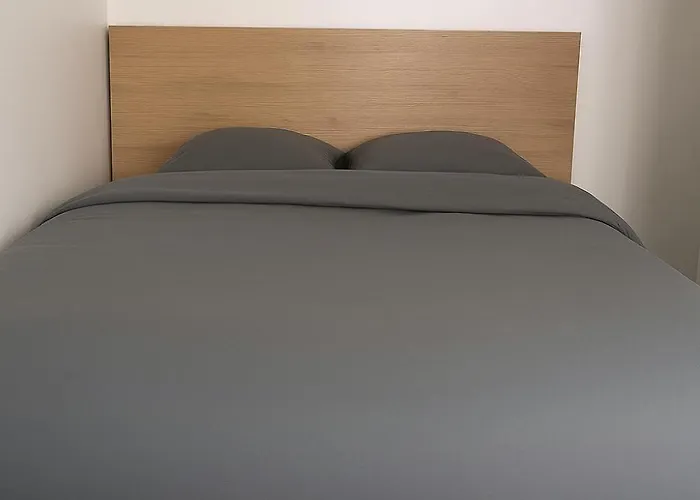 Le Vosgien - Hyper Center - Calme - Wifi - Spacieux Apartmán Épinal