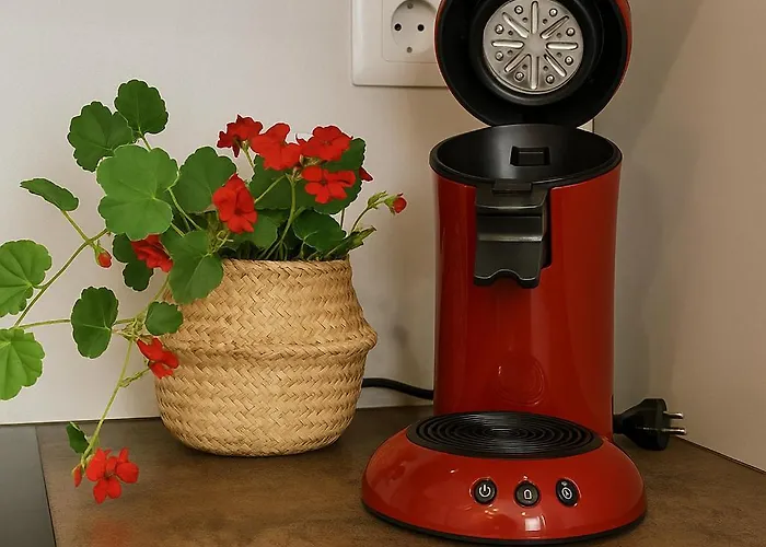 Le Vosgien - Hyper Center - Calme - Wifi - Spacieux * Épinal