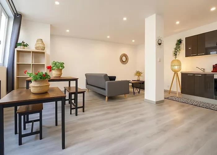 Apartmán Le Vosgien - Hyper Center - Calme - Wifi - Spacieux *