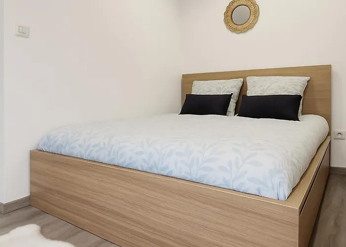 Apartmán Le Vosgien - Hyper Center - Calme - Wifi - Spacieux Épinal